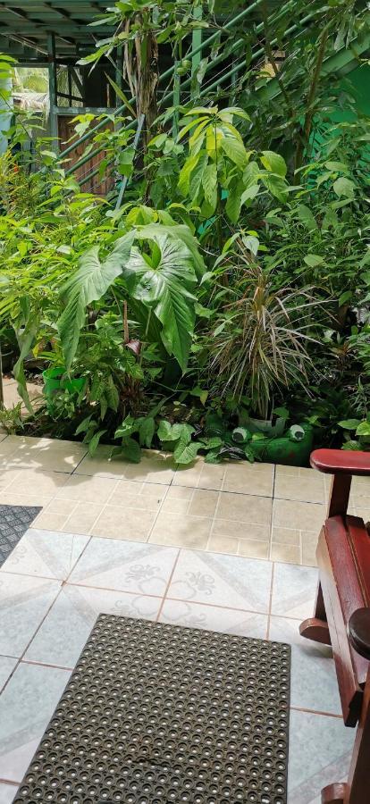 Cabinas Mitchaelle'S Puerto Viejo de Talamanca Kültér fotó