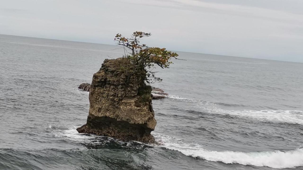 Cabinas Mitchaelle'S Puerto Viejo de Talamanca Kültér fotó