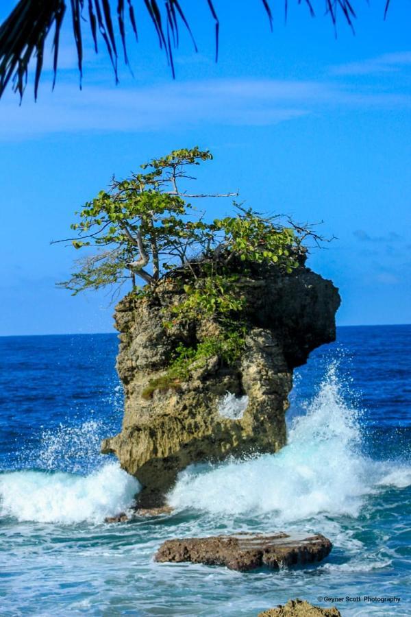 Cabinas Mitchaelle'S Puerto Viejo de Talamanca Kültér fotó